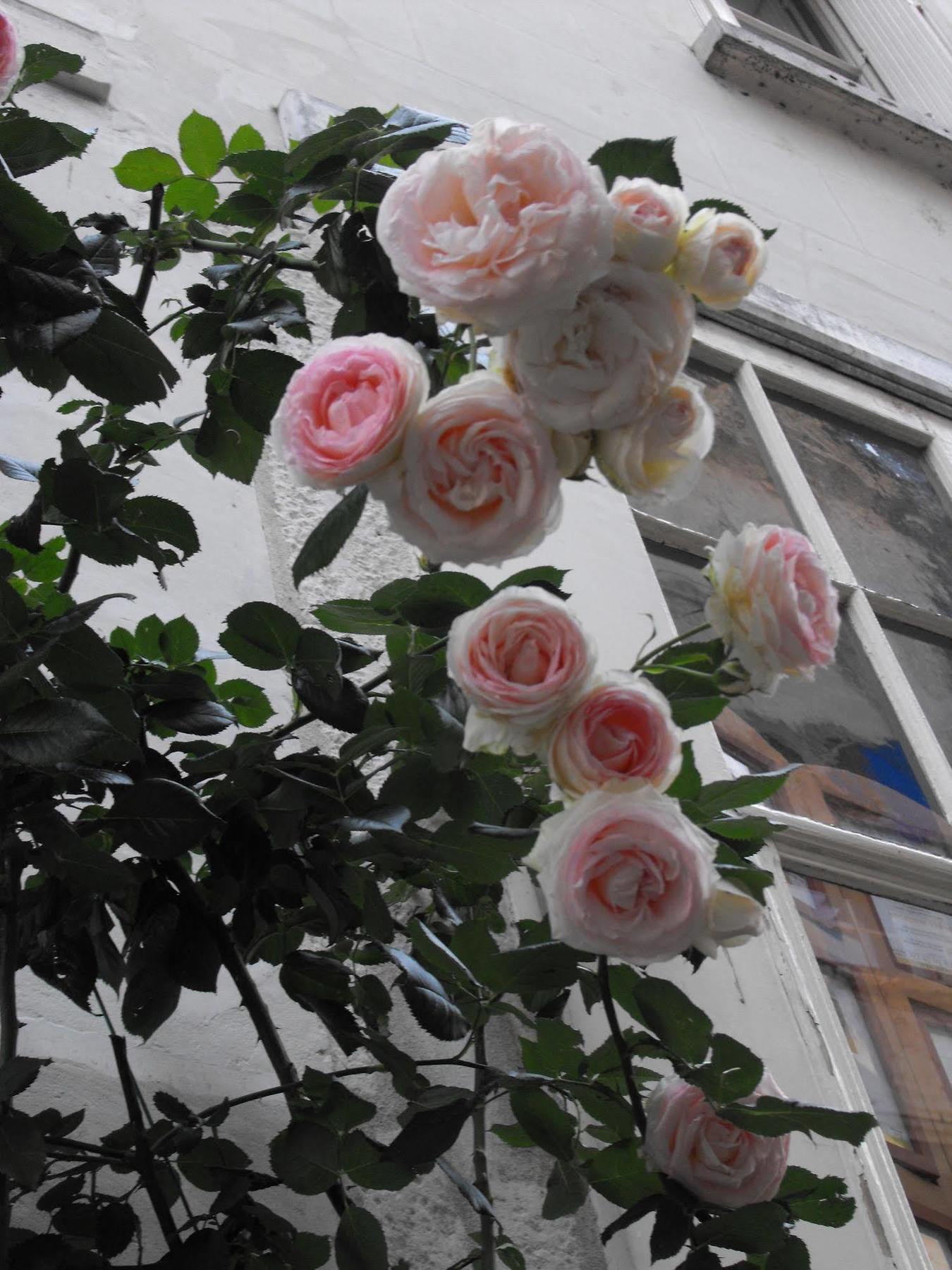 La Demeure Saint-Ours Bed & Breakfast Loches Exterior photo